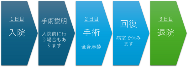 sika-bassi20260617-02.png
